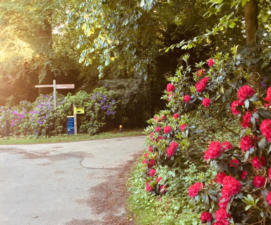 Art+Bed And Breakfast 's-Graveland Εξωτερικό φωτογραφία